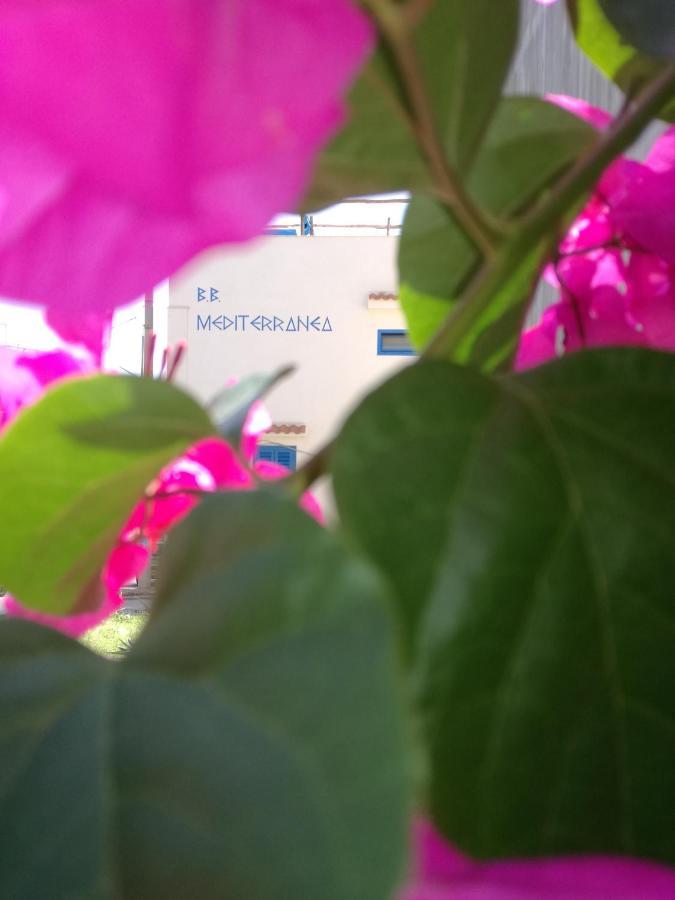 Mediterranea Guesthouse B&B Portopalo Di Capo Passero Exteriör bild